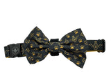 MCC Collar and bow-tie